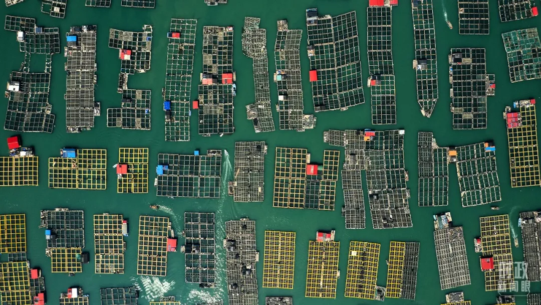 中国·tyc1286太阳成集团(股份)有限公司-官方网站